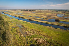 Biebrza River