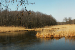 Biebrza River